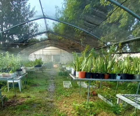 Hamam_20251125-142526_1